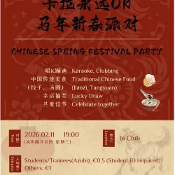 Chinese Spring Festival Party