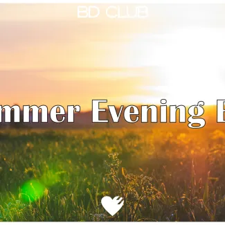Summer Evening Bar
